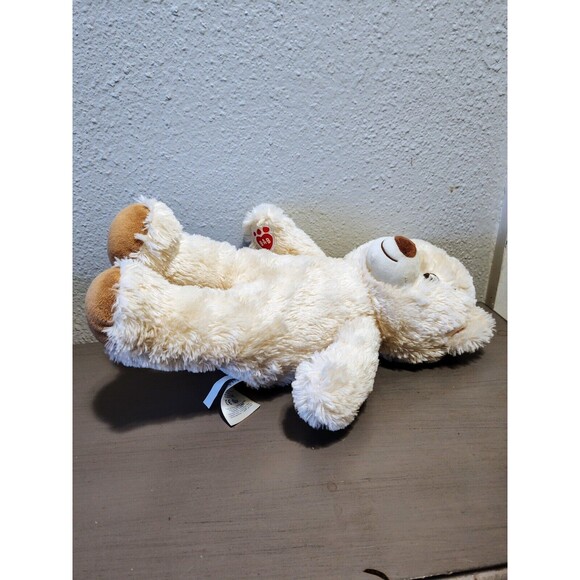 Build A Bear Lil Coconut Cub Cream Teddy Bear Plush Stuffed Animal - Picture 2 of 10